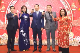 Les Vietnamiens célèbrent le Nouvel An lunaire à Hong Kong