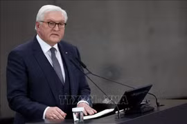 Promouvoir les relations multisectorielles entre l'Allemagne et le Vietnam