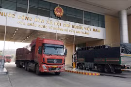 Près de 3.000 entreprises reçoivent des codes pour exporter des produits agricoles vers la Chine