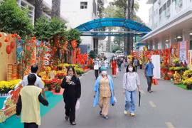 Des "rues aux fleurs" qui apportent du réconfort aux patients hospitalisés pendant le Têt