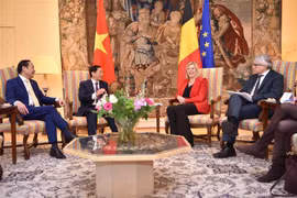 La Belgique aidera le Vietnam à décontaminer des sites pollués par l'agent orange