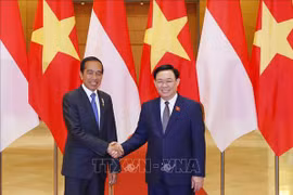  Le président de l’AN Vuong Dinh Hue rencontre le président indonésien Joko Widodo