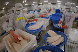 Le Vietnam vise deux milliards de dollars d'exportations de pangasius en 2024