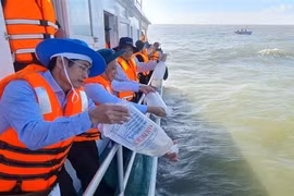 Bac Lieu lâche plus de 6 millions d'alevins de crevettes pour régénérer les ressources aquatiques