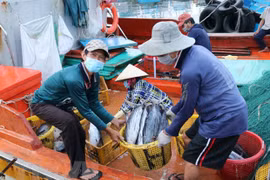 Mobilisation des ressources pour supprimer le "carton jaune" sur la pêche INN