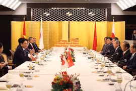 Le Japon est un partenaire stratégique important de premier rang du Vietnam