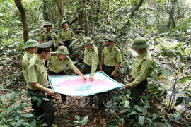 Aide américaine dans la formation des gardes forestiers du Vietnam