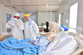 Les ministres de la santé de l'ASEAN approuvent la création de l'ACPHEED