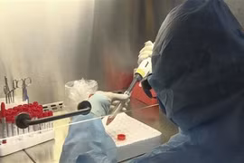 Le Vietnam se concentre sur la production de kits de test de dépistage du SARS-CoV-2 