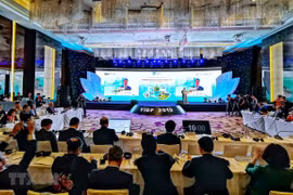 Des mesures aident le tourisme vietnamien à s'envoler