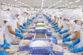 De nombreuses entreprises égyptiennes s'intéressent aux marchandises vietnamiennes