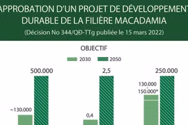 Approbation d'un projet de développement durable de la filière macadamia 