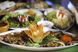 Le Vietnam à la Fête de la solidarité Manifiesta en Belgique