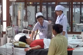 Lancement du système d'alerte précoce de la dengue au Vietnam