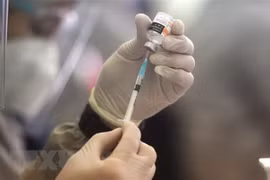 ASEAN-UE: 2e dialogue d'experts sur le vaccin anti-COVID-19