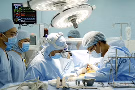 68e anniversaire de la Journée des médecins vietnamiens 