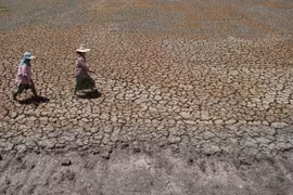 Thaïlande: la population est gravement touchée par la sécheresse et la salinisation