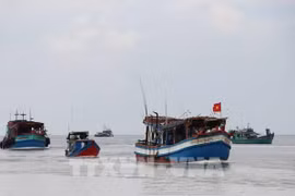 INN: Ba Ria-Vung Tau s’efforce d’empêcher les activités de pêche illicite