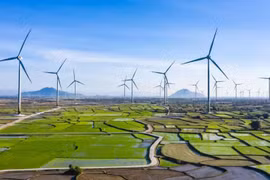 Croissance verte : une solution efficace pour un développement durable 