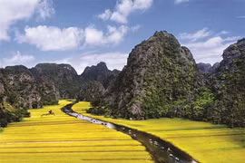 Pour mieux protéger la Réserve naturelle de Vân Long
