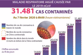 31.481 cas contaminés par le nouveau coronavirus dans le monde
