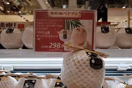 Bientôt un webinaire Vietnam-Japon sur le commerce d’aliments transformés 