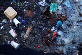 Des produits en plastique à usage unique sont interdits dans les bureaux du gouvernement philippin