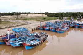 Des bateaux de pêche à Quang Binh sont munis d'équipements de surveillance. Photo : VNA