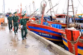 Des garde-frontières du port de Diem Dien contrôlent le port de pêche de Tan Son, district de Thai Thuy, province de Thai Binh. Photo : VNA