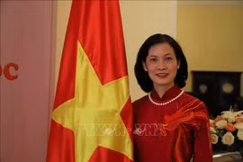 L'ambassadrice du Vietnam au Maroc et en Guinée-Bissau, Le Kim Quy. Photo: VNA