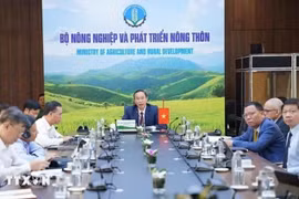 Le vice-ministre vietnamien de l'Agriculture et du Développement rural, Phung Duc Tien, participe à la conférence virtuelle. Photo: VNA