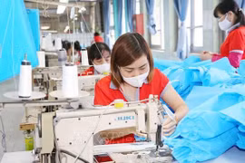 Un universitaire australien : le Vietnam fait de grands efforts pour atteindre les ODD de l'ONU