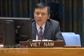 ONU : Le Vietnam le Vietnam appelle le Mali à mettre en œuvre une feuille de route de transition