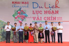 Bac Giang : programme touristique à la saison des litchis mûrs de Luc Ngan 2023