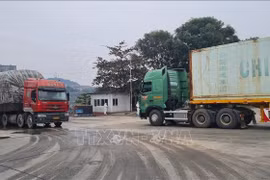 Lào Cai maintient à flot les activités d’import-export à ses portes-frontières