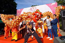 Le festival de la culture vietnamienne - Huong Viet 2019 en Allemagne