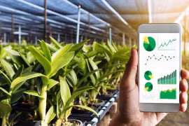 La province de Vinh Phuc promeut la transformation numérique dans l'agriculture