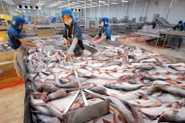Augmentation des exportations vers les marchés du Moyen-Orient et de l’Afrique
