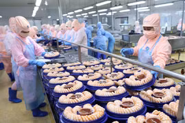 La pêche/aquaculture, un secteur économique clé du pays
