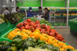 Les exportations de fruits et légumes rebondissent en avril