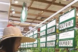 «Dites non aux sacs en plastique» gagne en popularité chez les consommateurs