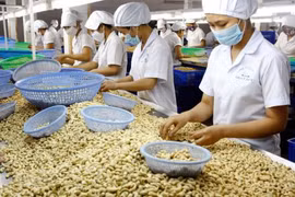 La Côte d'Ivoire souhaite coopérer avec Binh Phuoc dans la transformation de la noix de cajou