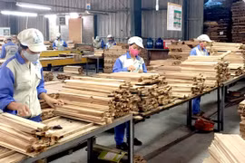 Les échanges commerciaux Vietnam – Afrique du Sud atteindra 2 milliards de dollars