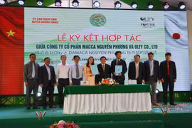 La province de Dak Lak exporte son premier lot de noix de macadamia vers le Japon