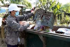 Déchets plastiques: le Groupe de travail sur la mise en œuvre du NPAP voit le jour