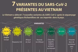 7 nouvelles variantes du SARS-CoV-2 présentes au Vietnam