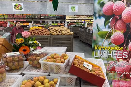 Les exportations de produits agricoles vers l'Australie en augmentation