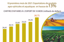 Exportations de produits agro-sylvicoles et aquatiques en hausse de 13% en 10 mois