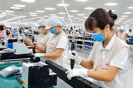 Startups : Da Nang cherche à intensifier ses liens avec le Japon