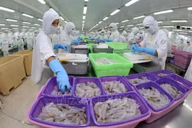 L'industrie de transformation de crevettes s'efforce de maintenir l’objectif des exportations